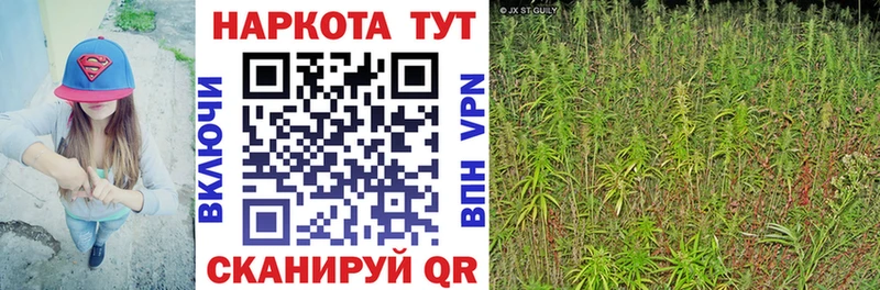 Что такое Бугуруслан ГАШ  Alpha-PVP  АМФ  Мефедрон  ГЕРОИН  КОКАИН  Конопля 