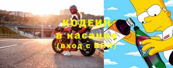 прущие грибы Приозерск