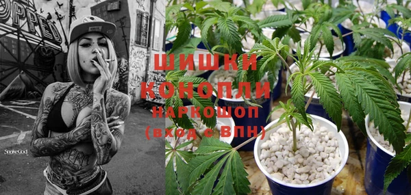 винт Алексин