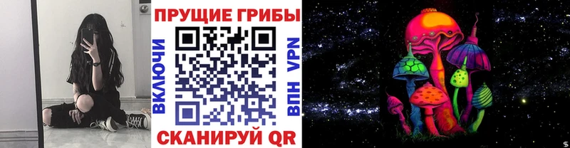 Галлюциногенные грибы GOLDEN TEACHER  Бугуруслан 